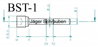 Titan (Ti6Al4V) - Bremsbelagstift natur